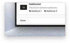 4.webp